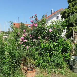 Helles Dachstudio Allershausen